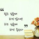 매실농장 Daum카페