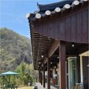 홍천즐거운집 | 강아지와 자연 속에서 힐링하기 좋은 홍천애견동반카페추천 팔봉수피아 방문 후기