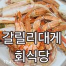 혜림회식당 | 포항죽도시장맛집 갈릴리대게회식당 대게 싱싱한 곳