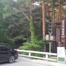 공룡공인중개사사무소 이미지