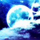 달로와요 이미지