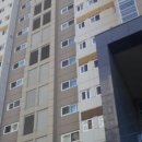 구갈로1 이미지