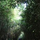 다리카페 이미지