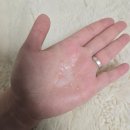 포링 | [반려동물 멀티세정제] 포링클린 사용후기 💦