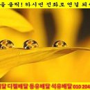 강하면 전수리~왕창리 이미지