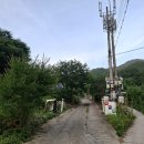 김삿갓 강건너펜션 | [ 강원도 영월 ] 김삿갓 계곡 숙소 내돈내산 솔직후기 _ 데이지스파펜션