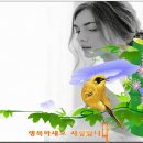 연락선-조미미 이미지