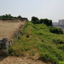 창원 주의수 묘 이미지