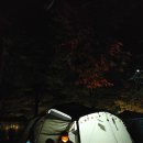 영월 외룡 캠핑장 이미지