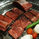 최선목장 이미지