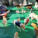 우리주식회사 이미지