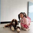 푸름켄넬 이미지