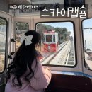 [부산] 🚋 해운대 블루라인파크 스카이캡슐 탑승 후기 🚋