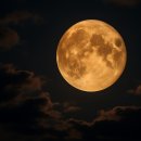 오늘밤에 이미지