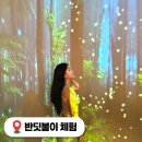 서구-02-102 | 대전 곤충생태관 반딧불이 체험 예약 웨이팅 꿀팁 실내 아이와가볼만한곳
