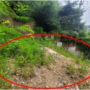 철인부동산공인중개사사무소 이미지