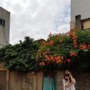 대봉1동주민센터 이미지