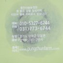 육골농장 네이버블로그
