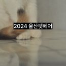상희독스 아카데미 | 2024 울산펫페어 기본정보 부스배치도 확인하기