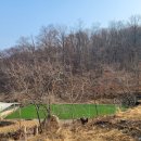 산삼고을 이미지