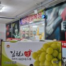 안산제일복싱체육관 이미지