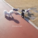 비비드그루밍 이미지