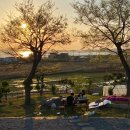 감성제주 - 제주시 동문로4길 9 | 감성제주