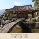 노바블룸디자인 이미지