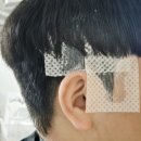 댕댕이 커트방 | 남자머리전문 부천미용실 플로맨즈헤어 다운펌후기