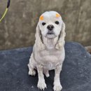 까끌레멍 이미지