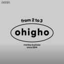 세븐일레븐 강릉곶감점 | 오하이오 강원 강릉 파스타 추천