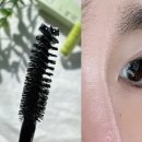 카멜래쉬 이미지