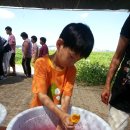 푸른솔염색 이미지