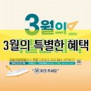 다비치배곧아브뉴프랑점 이미지