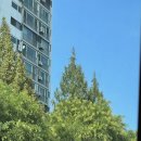 압구정동 주민센터 | 신사나들목 한강공원에서 노들섬까지 자전거 데이트했던 날 한강 라면으로 마무리!
