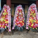 공부자 탄강 2576주년 추기 석전 대제 이미지