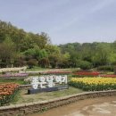 무릉도원 이미지