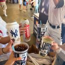 로돈 | [🇺🇸뉴욕 #5] ⚾️SSG팬이 6연패를 끊은 뉴욕 양키스 승요!? (우천 중단을 3번이나 했던 MLB 첫 직관에서...