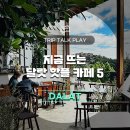 원컴퍼니티엠 | 전망, 특별한 메뉴를 갖춘 달랏 카페 추천