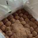 성빈농장 이미지