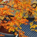 장경사 - 1167 | 장경사