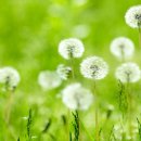 (주)좋은친구들 이미지