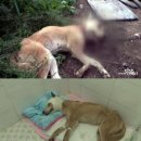 황구농장 이미지