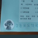 포도약국 이미지