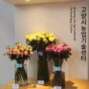 장미한우
