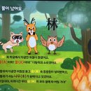 [키즈콕📲] 🌳 불(火) + 나무(木)를 만나다 이미지