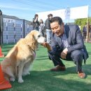 포천시 반려동물 친화관광도시 조성 잰걸음 … 신규 관광 수요 창출 이미지