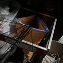 군자 머구리 이미지