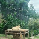 하이에나게임장 | 대구 네이처파크 할로윈 페스티벌::아이랑 가을 나들이 가볼 만한 곳