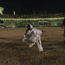 문학경기장 이미지